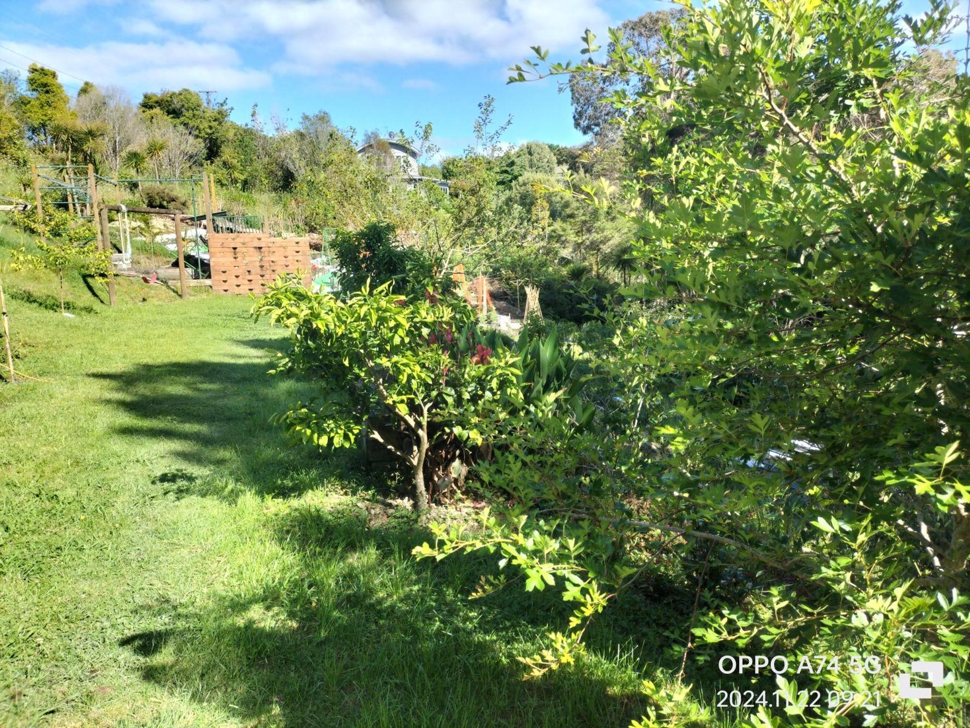 别墅中的一间客房 Auckland Esterno foto